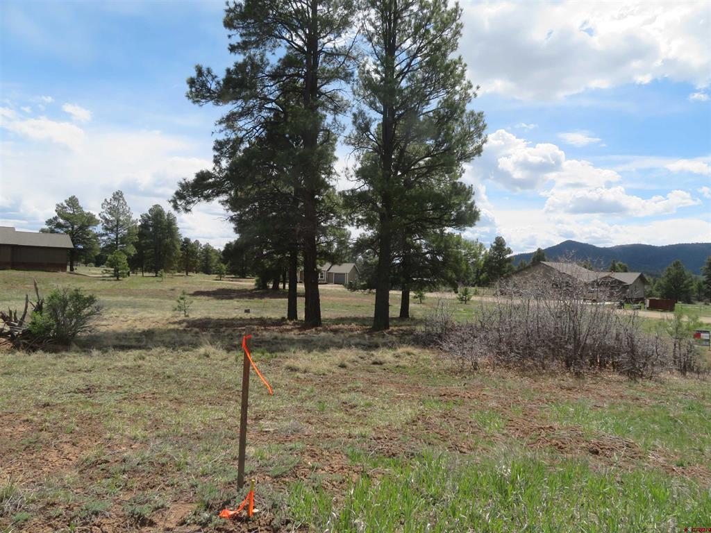 317 Domicile Circle Pagosa Springs CO 81147
