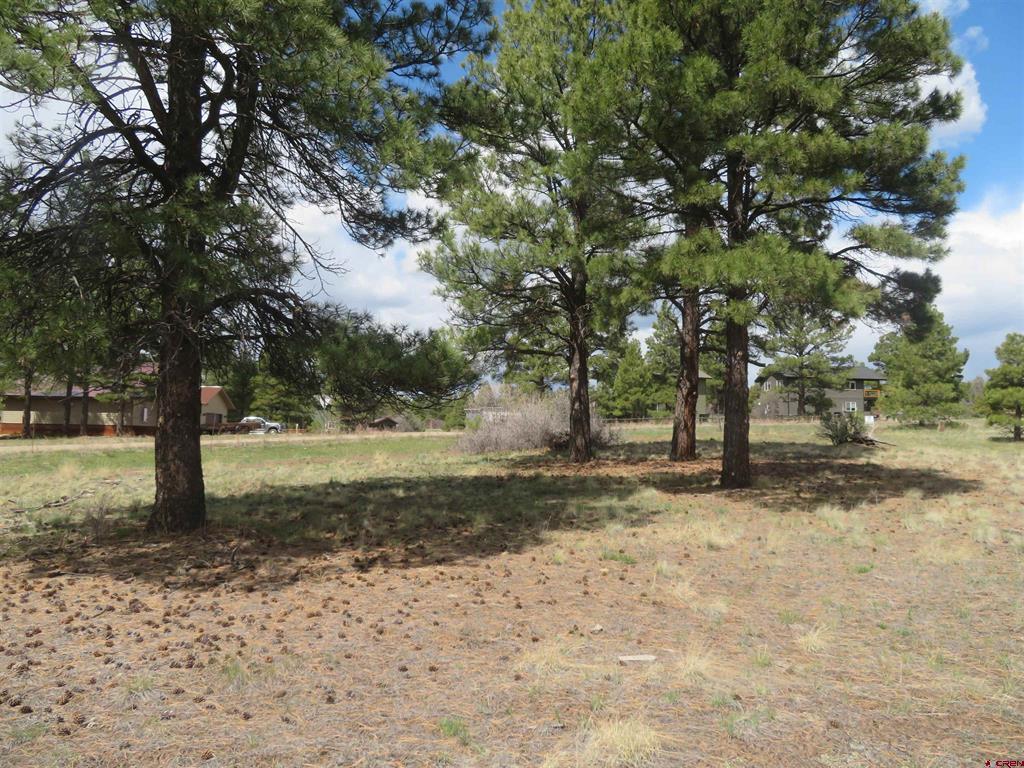 317 Domicile Circle Pagosa Springs CO 81147