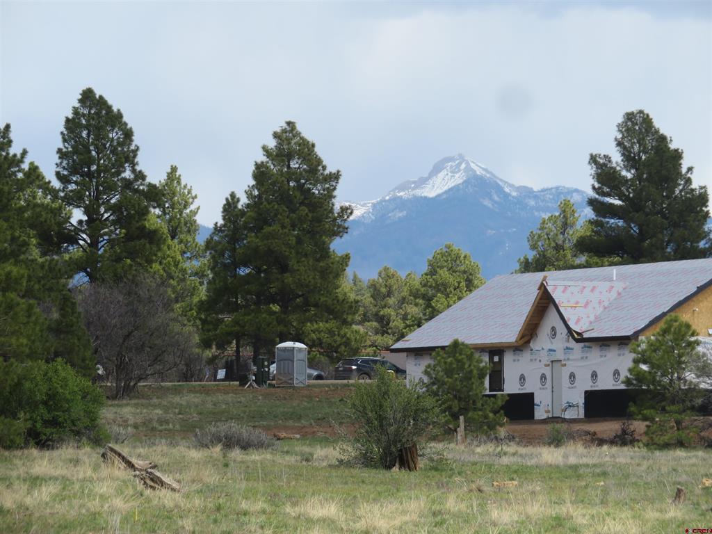317 Domicile Circle Pagosa Springs CO 81147