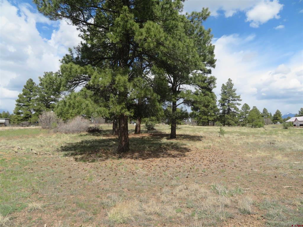 317 Domicile Circle Pagosa Springs CO 81147
