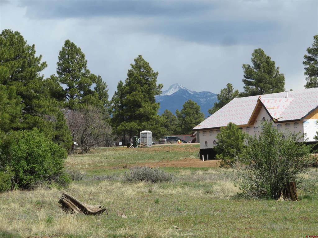 317 Domicile Circle Pagosa Springs CO 81147