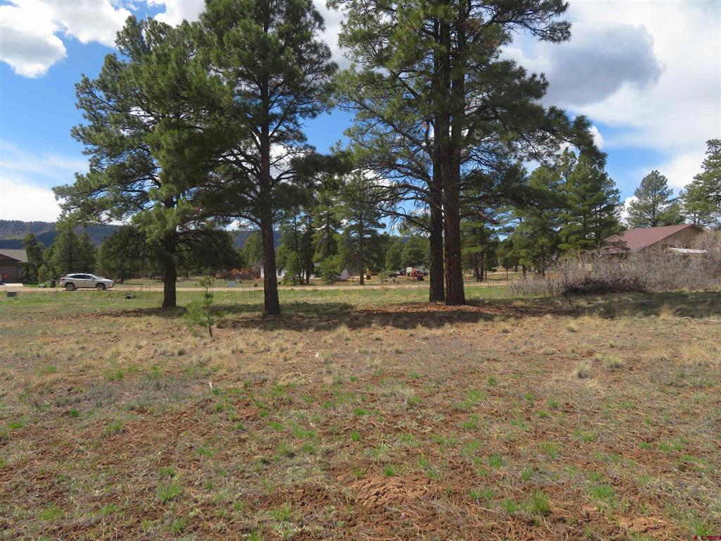 317 Domicile Circle Pagosa Springs CO 81147