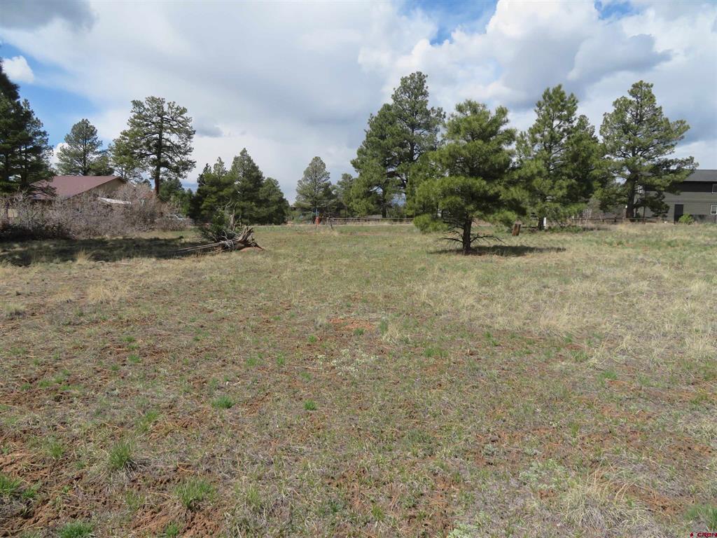 317 Domicile Circle Pagosa Springs CO 81147