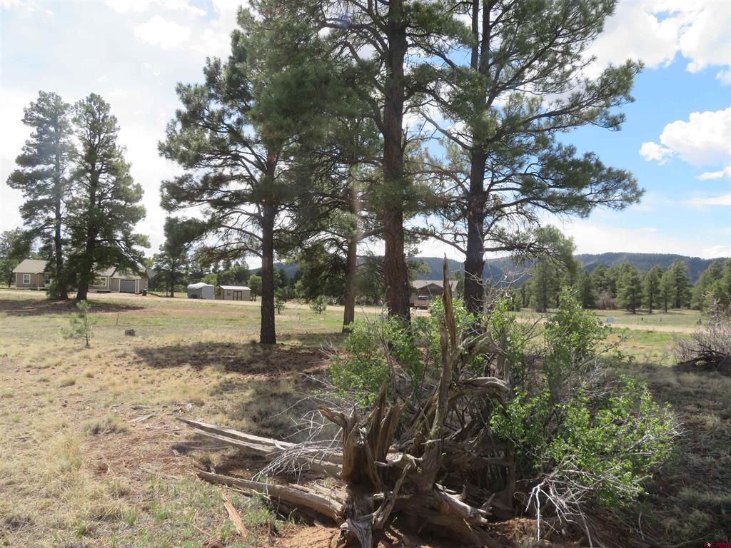 317 Domicile Circle Pagosa Springs CO 81147