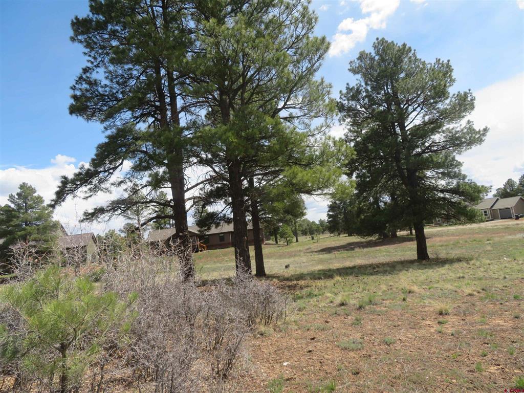 317 Domicile Circle Pagosa Springs CO 81147