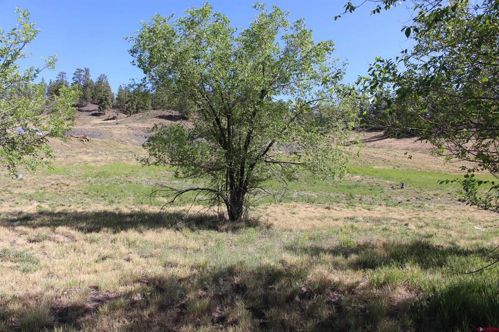 Tbd W Highway 160 Pagosa Springs CO 81147