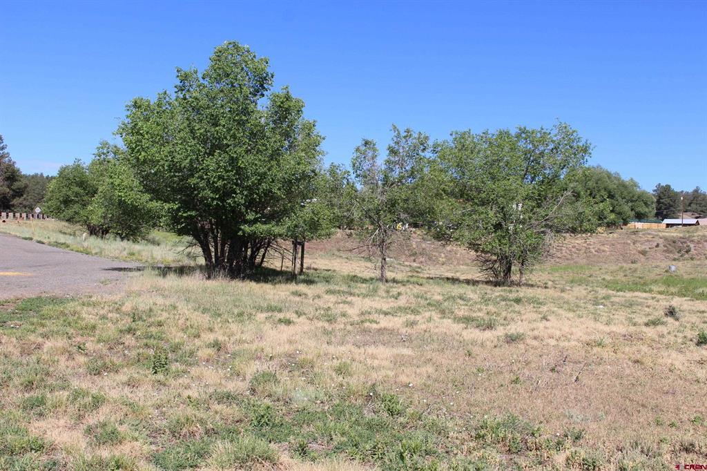 Tbd W Highway 160 Pagosa Springs CO 81147