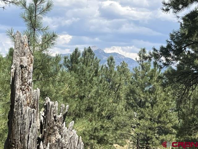 Pagosa Springs CO, X County Road 600 A