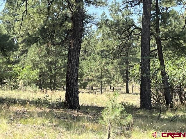X County Road 600 A Pagosa Springs CO 81147