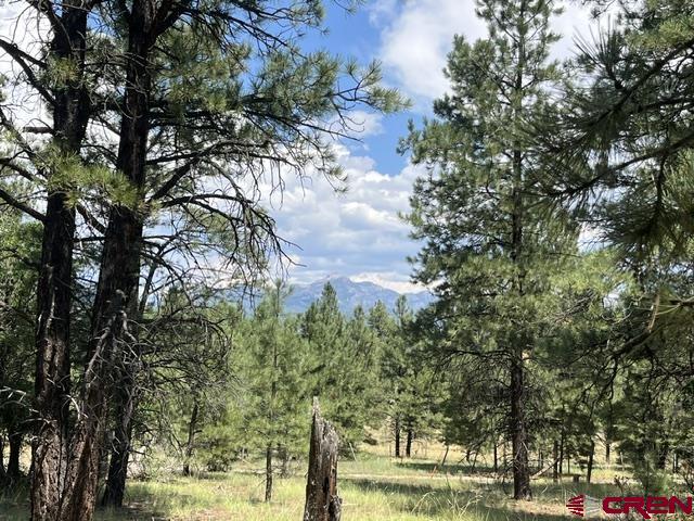 X County Road 600 A Pagosa Springs CO 81147