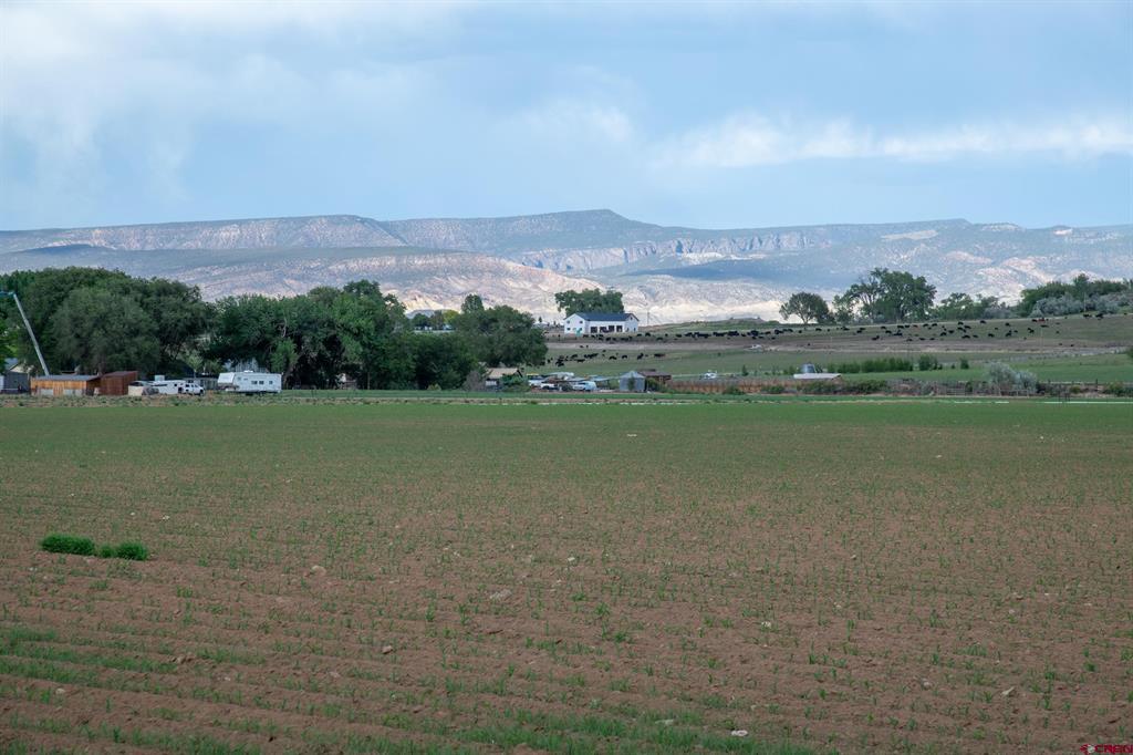 Tbd Kiowa Road Montrose CO 81403