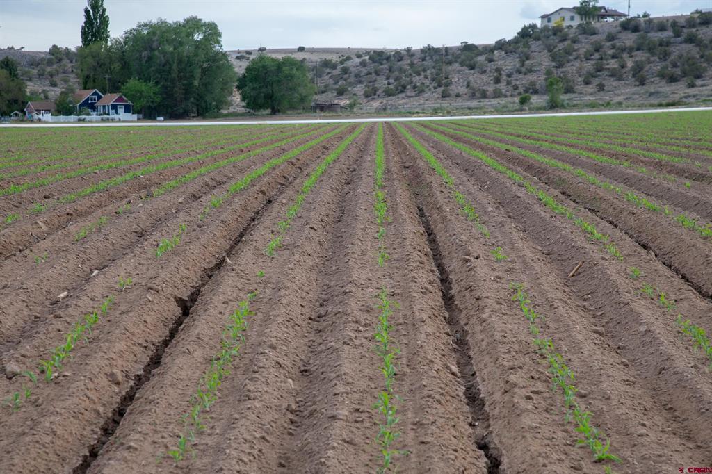 Tbd Kiowa Road Montrose CO 81403