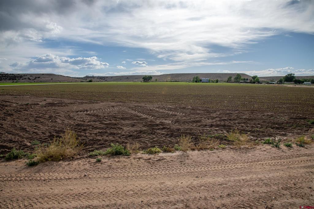 Tbd Kiowa Road Montrose CO 81403