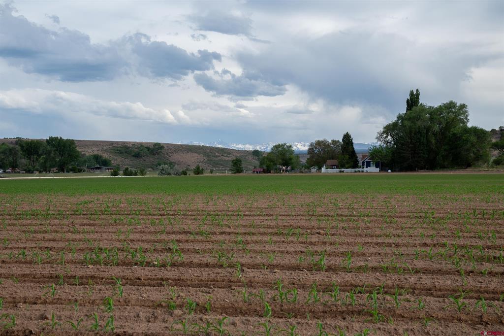 Tbd Kiowa Road Montrose CO 81403