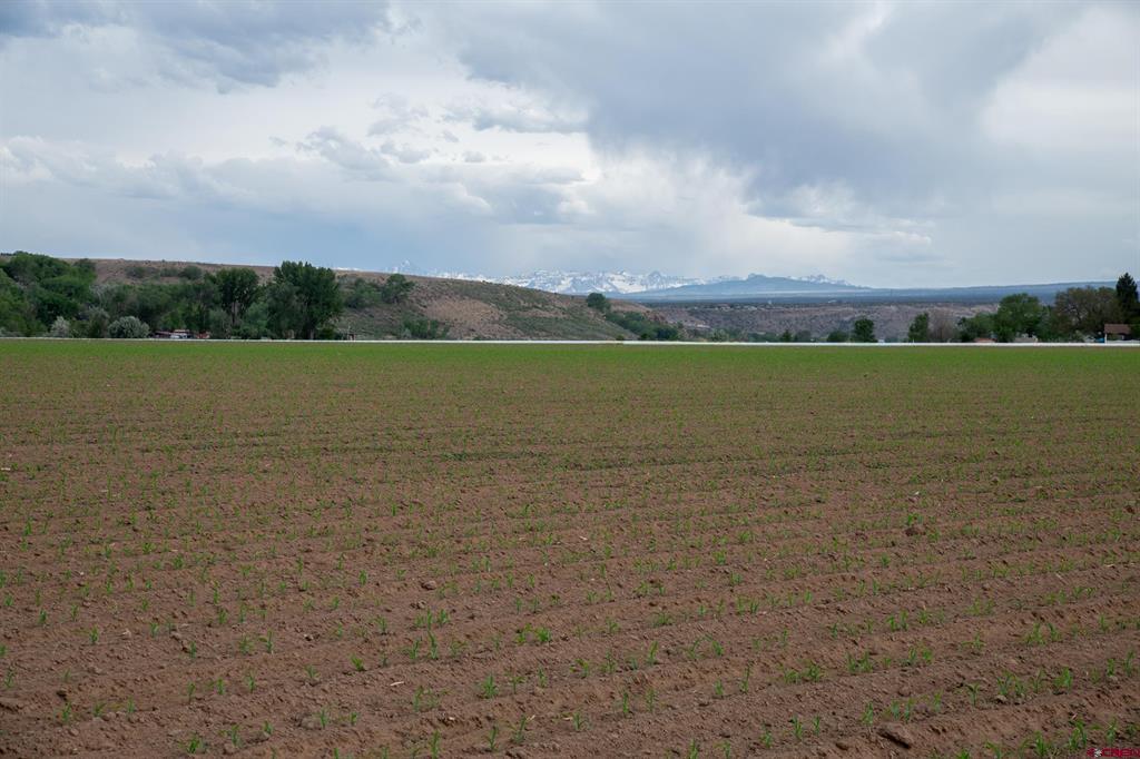 Tbd Kiowa Road Montrose CO 81403