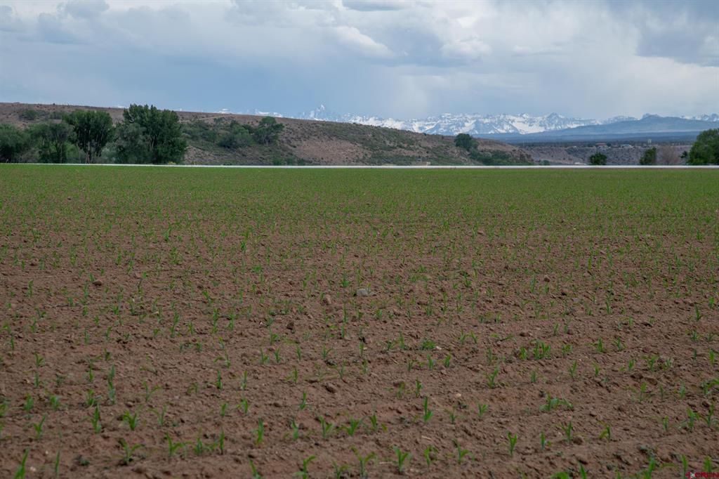 Tbd Kiowa Road Montrose CO 81403