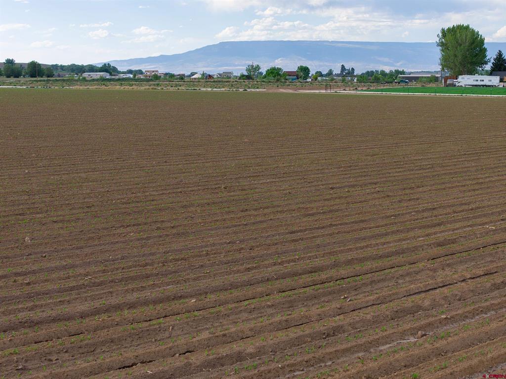 Tbd Kiowa Road Montrose CO 81403