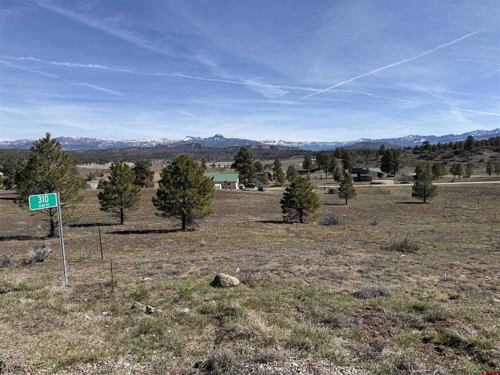 310 Echo Drive Pagosa Springs CO 81147