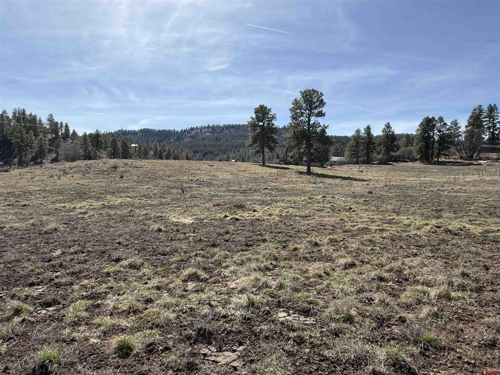 310 Echo Drive Pagosa Springs CO 81147