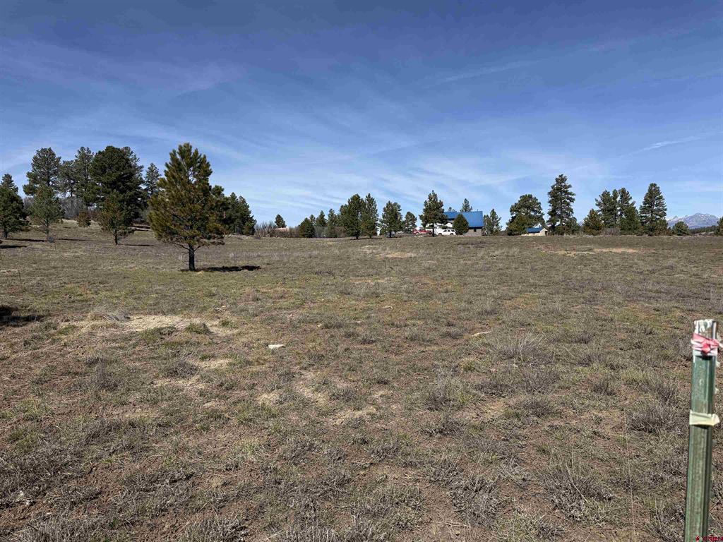 310 Echo Drive Pagosa Springs CO 81147