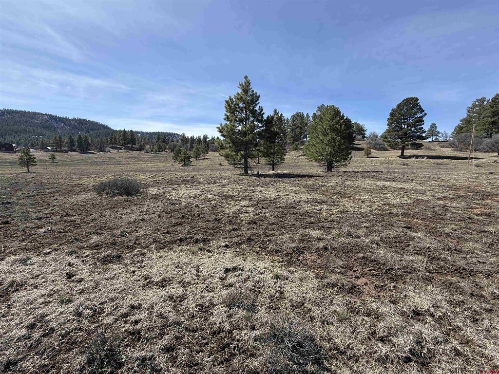 310 Echo Drive Pagosa Springs CO 81147