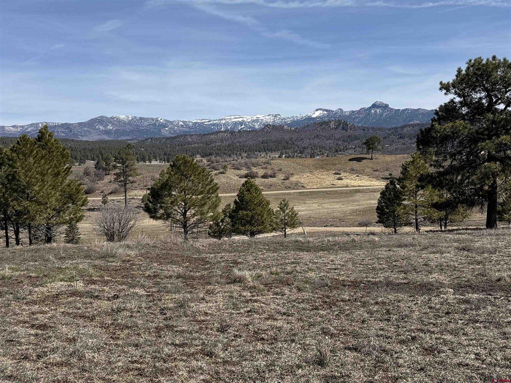 310 Echo Drive Pagosa Springs CO 81147