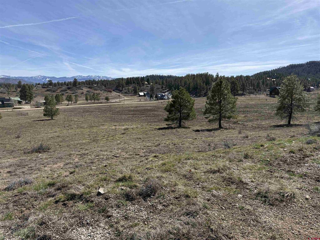 310 Echo Drive Pagosa Springs CO 81147