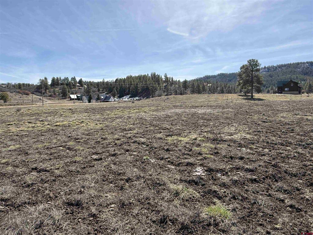 310 Echo Drive Pagosa Springs CO 81147