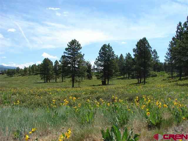 146 S Honeysuckle Avenue Pagosa Springs CO 81147