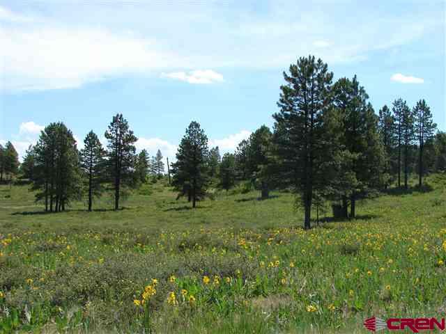146 S Honeysuckle Avenue Pagosa Springs CO 81147