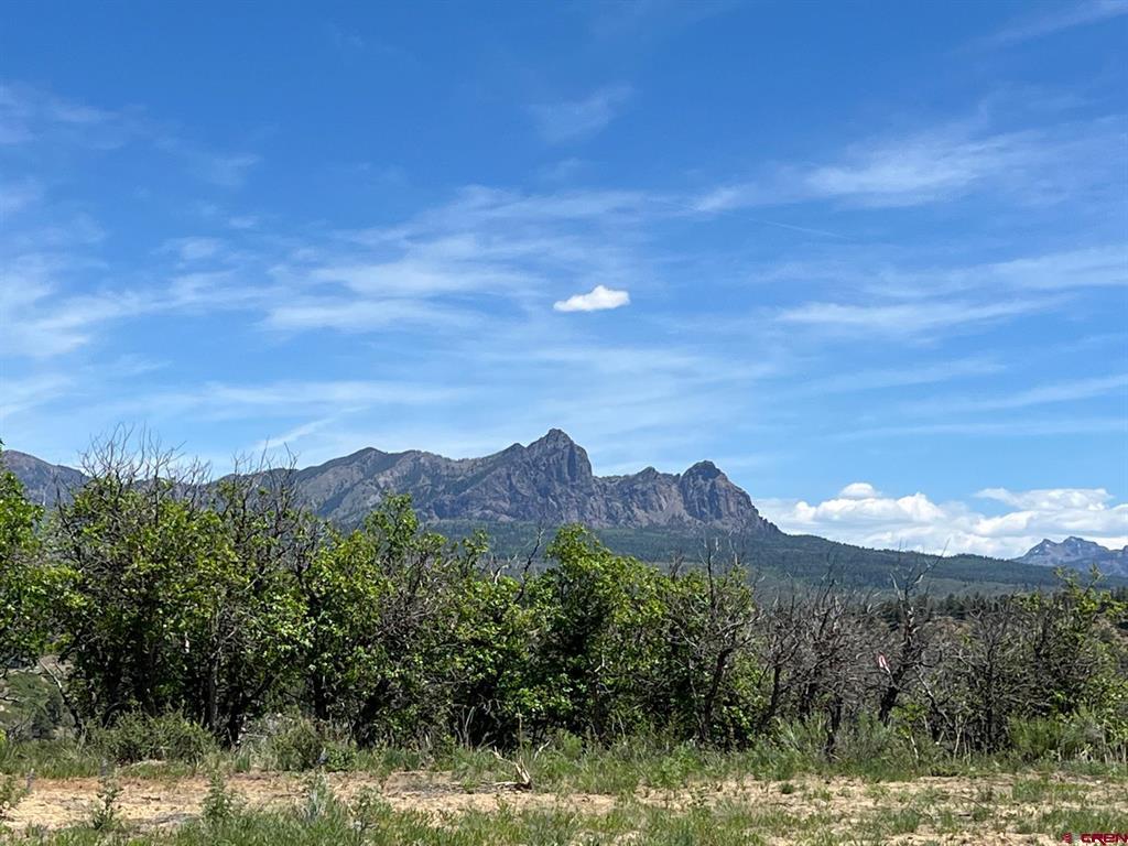 558 Henry's Lake Drive Pagosa Springs CO 81147