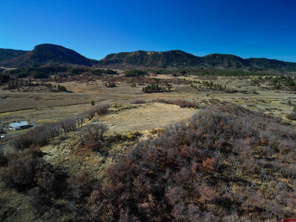 558 Henry's Lake Drive Pagosa Springs CO 81147