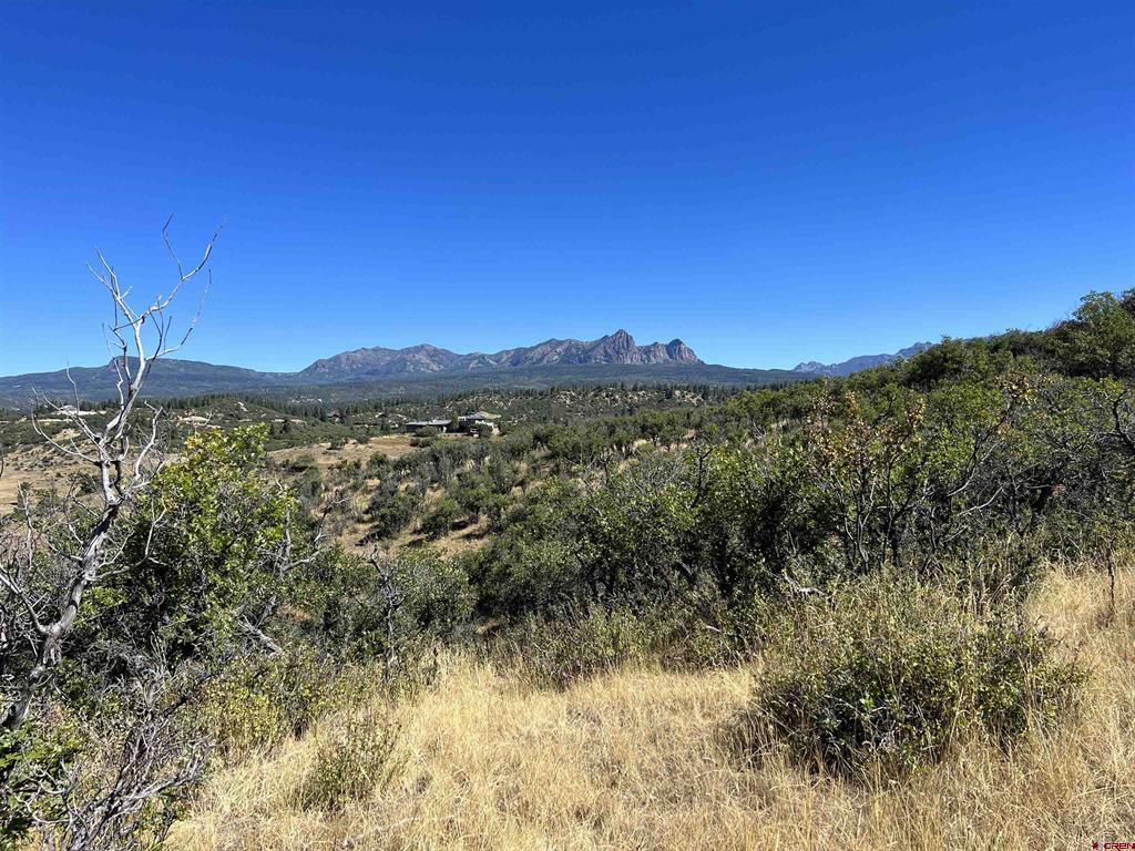 558 Henry's Lake Drive Pagosa Springs CO 81147