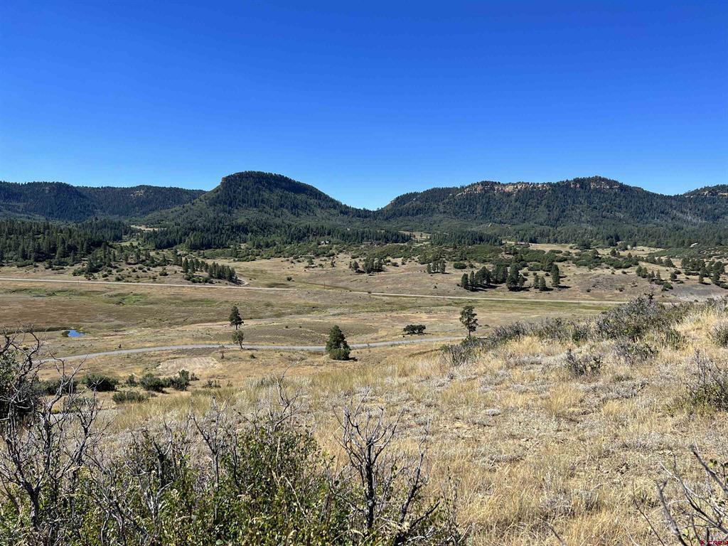 558 Henry's Lake Drive Pagosa Springs CO 81147