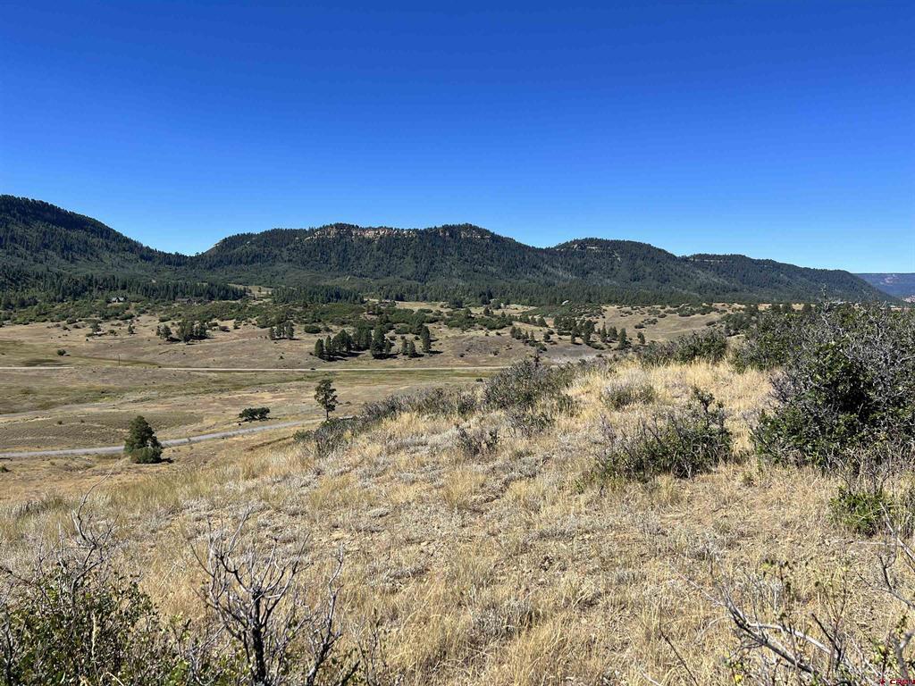 558 Henry's Lake Drive Pagosa Springs CO 81147