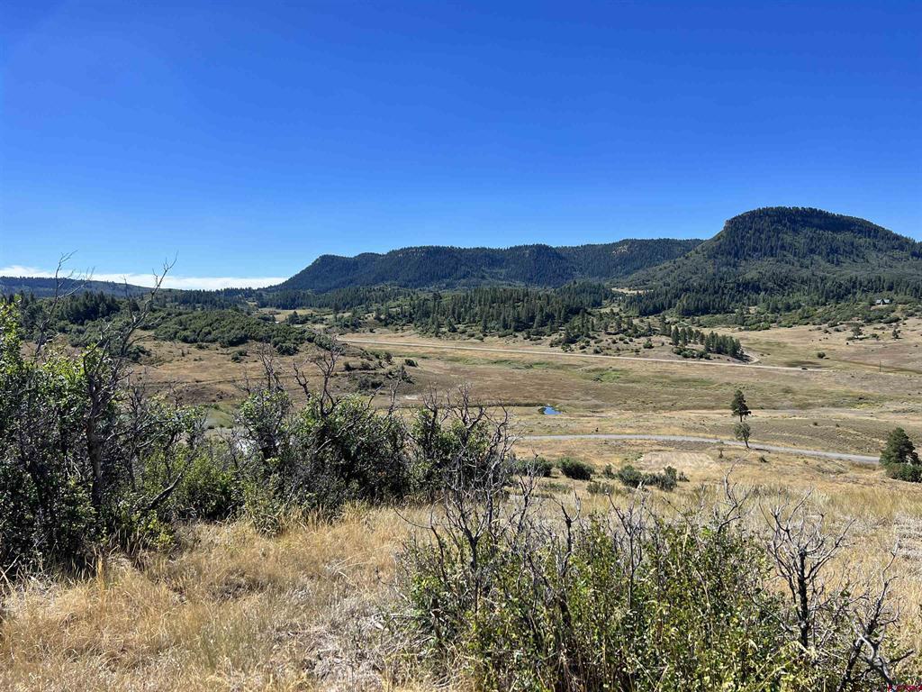 558 Henry's Lake Drive Pagosa Springs CO 81147