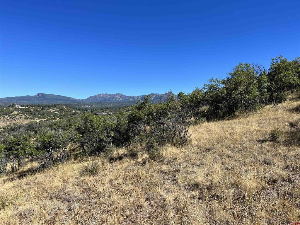 558 Henry's Lake Drive Pagosa Springs CO 81147