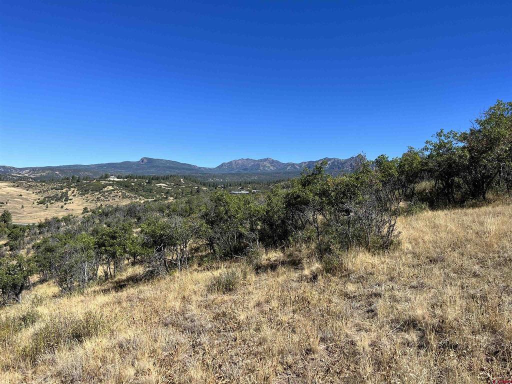 558 Henry's Lake Drive Pagosa Springs CO 81147