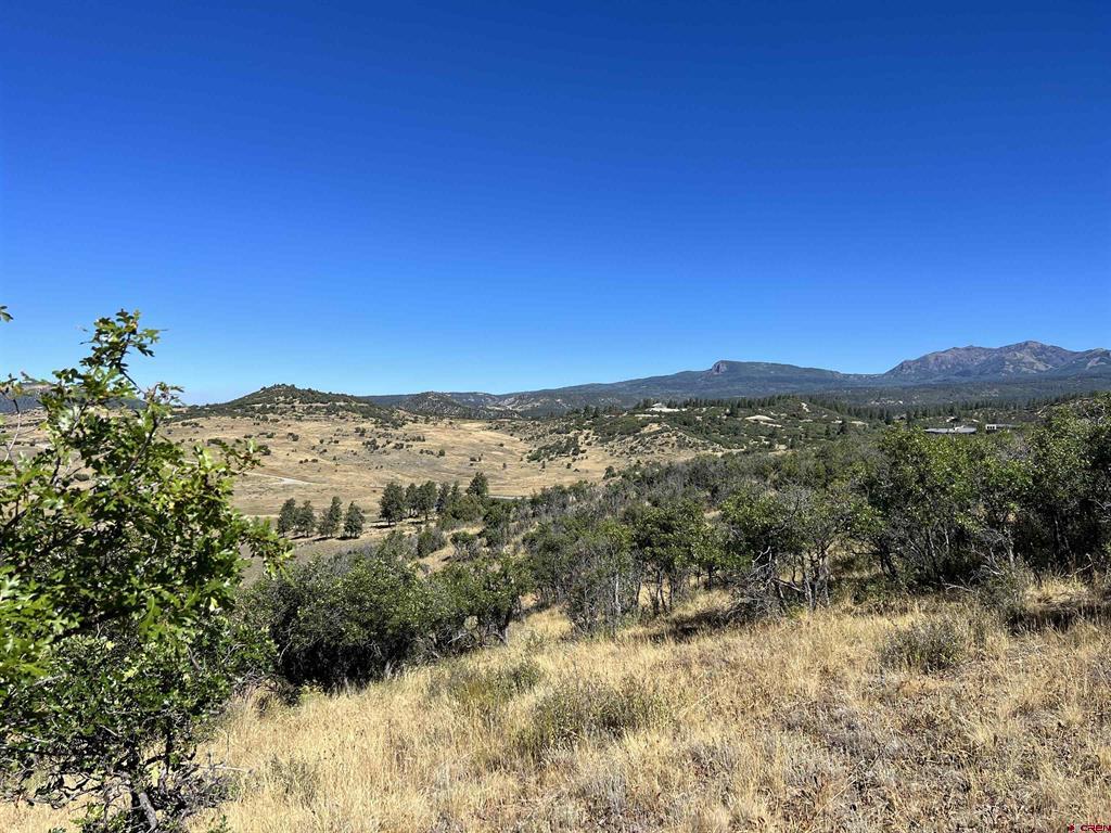 558 Henry's Lake Drive Pagosa Springs CO 81147