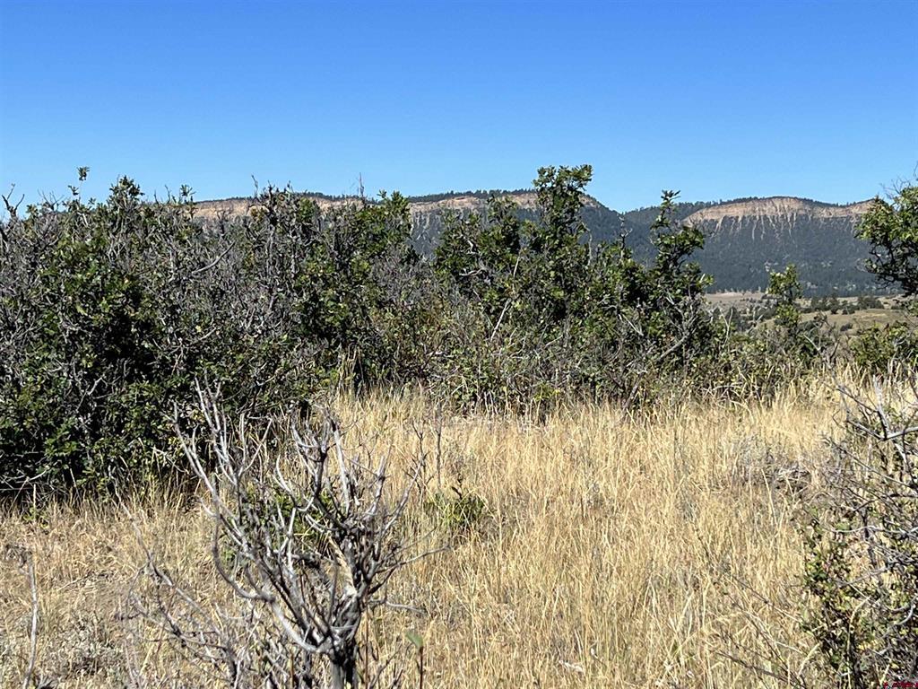 558 Henry's Lake Drive Pagosa Springs CO 81147