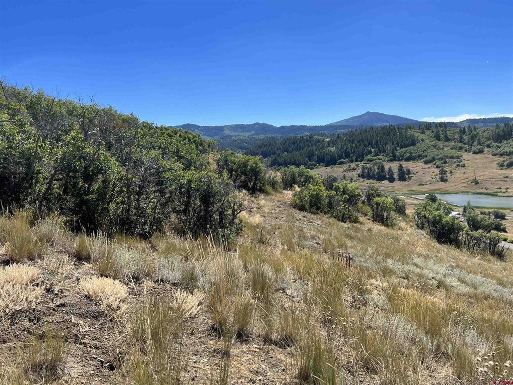 558 Henry's Lake Drive Pagosa Springs CO 81147