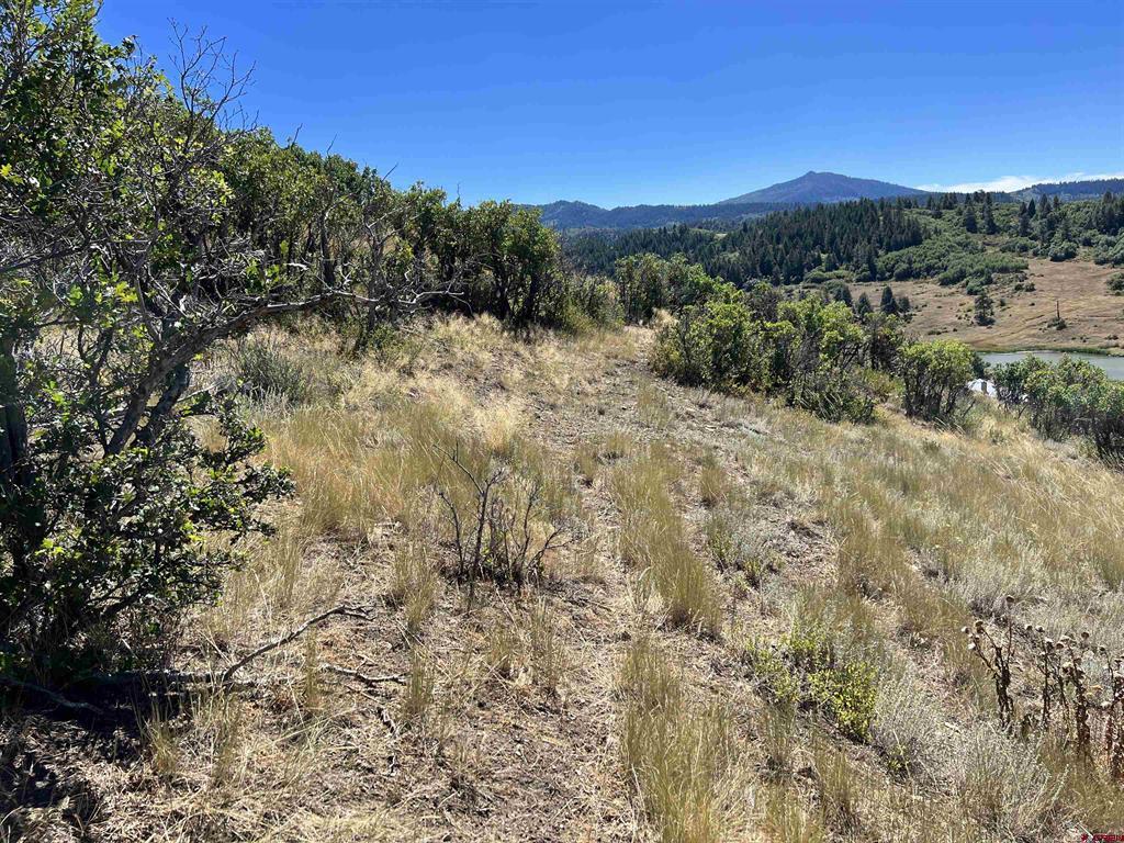 558 Henry's Lake Drive Pagosa Springs CO 81147