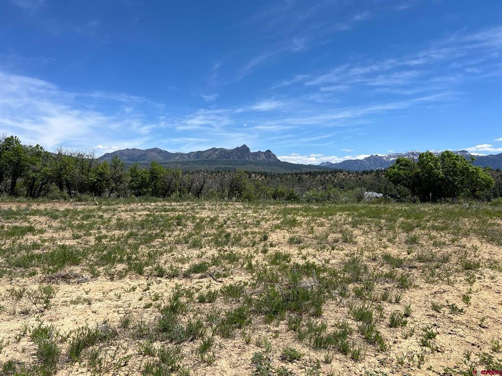 558 Henry's Lake Drive Pagosa Springs CO 81147
