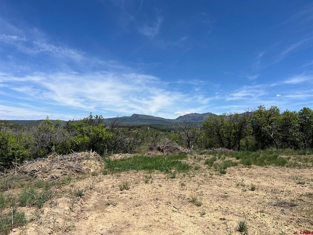 558 Henry's Lake Drive Pagosa Springs CO 81147