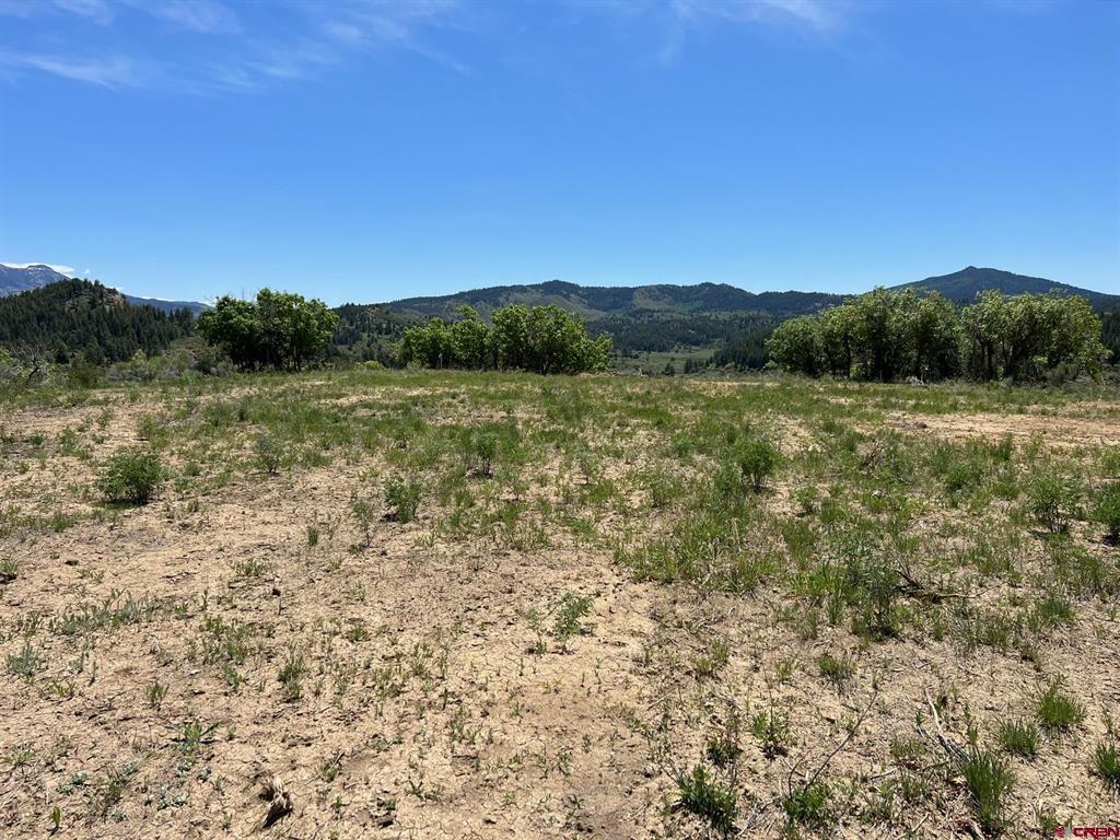 558 Henry's Lake Drive Pagosa Springs CO 81147