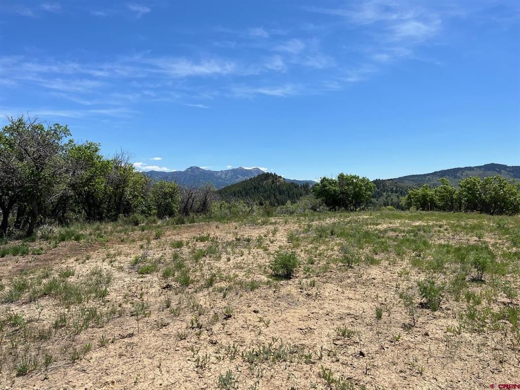 558 Henry's Lake Drive Pagosa Springs CO 81147