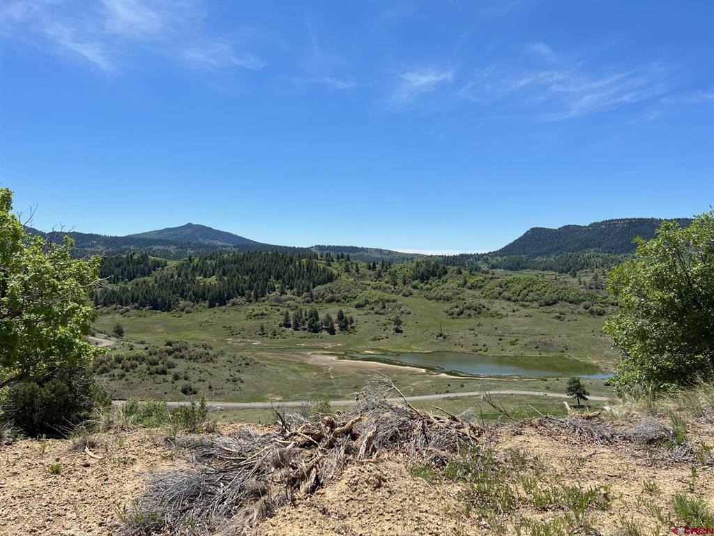 558 Henry's Lake Drive Pagosa Springs CO 81147