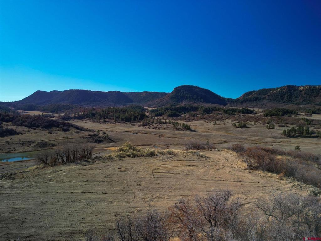 558 Henry's Lake Drive Pagosa Springs CO 81147