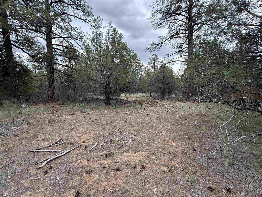 99 Cheyenne Drive Durango CO 81301