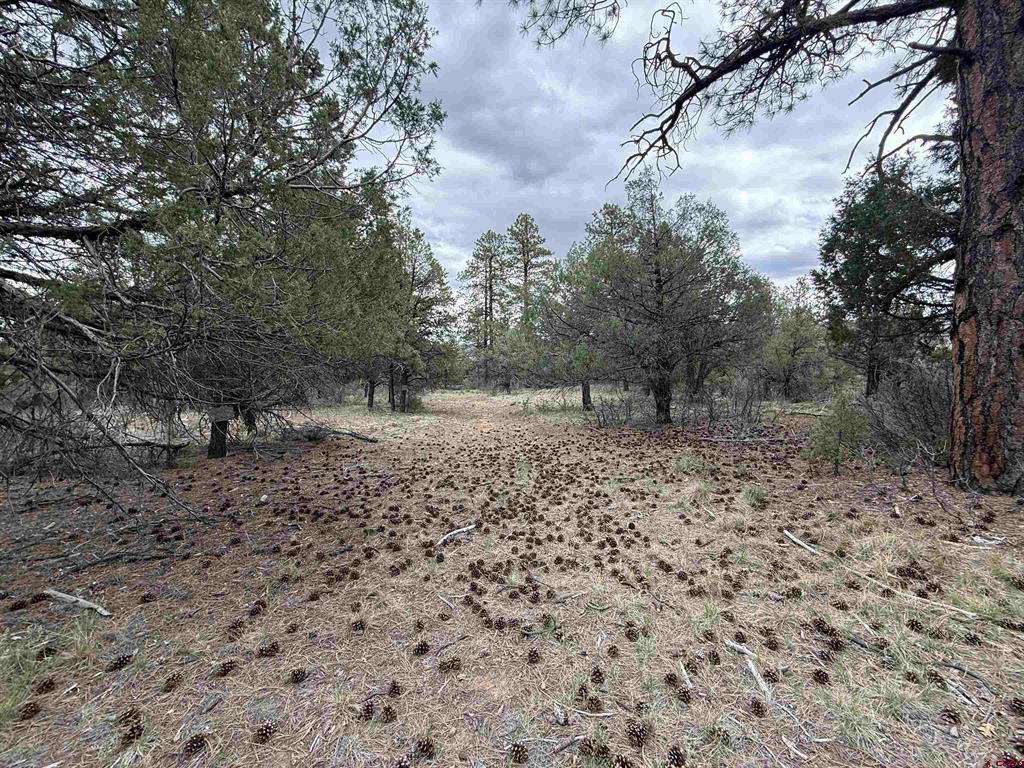 99 Cheyenne Drive Durango CO 81301